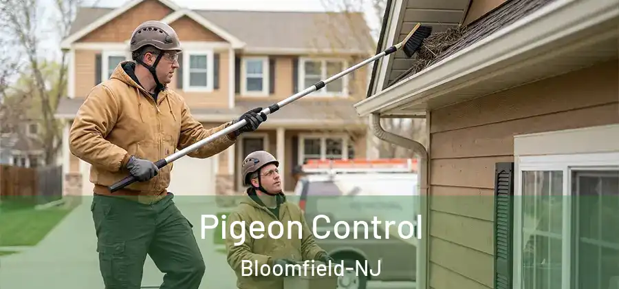  Pigeon Control Bloomfield-NJ