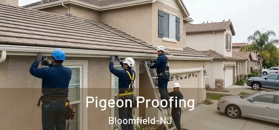  Pigeon Proofing Bloomfield-NJ
