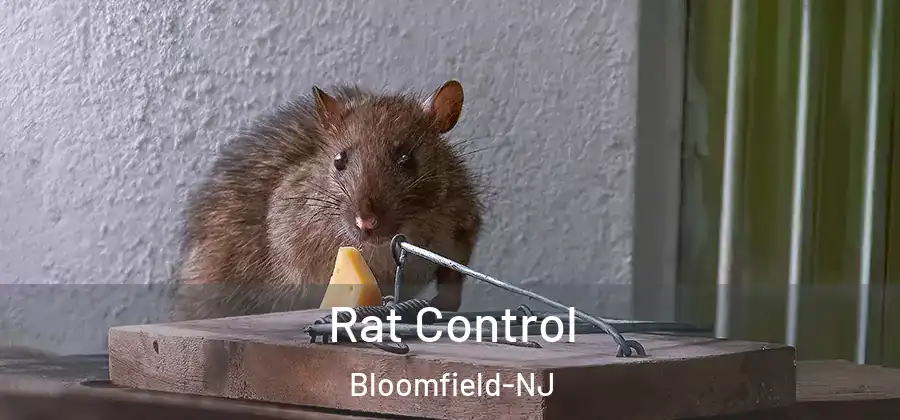 Rat Control Bloomfield-NJ