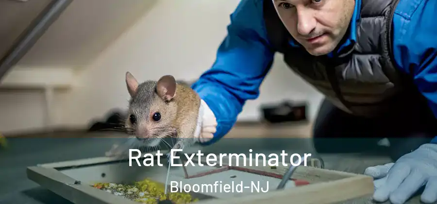  Rat Exterminator Bloomfield-NJ