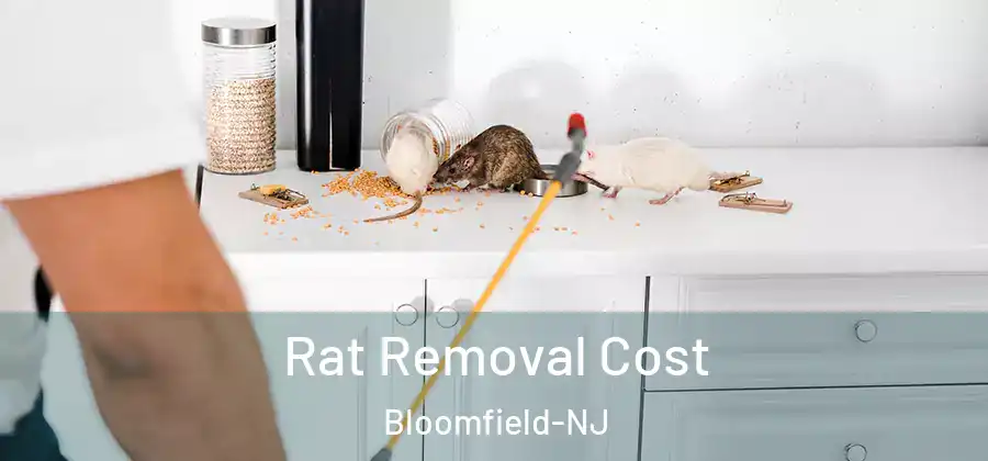  Rat Removal Cost Bloomfield-NJ