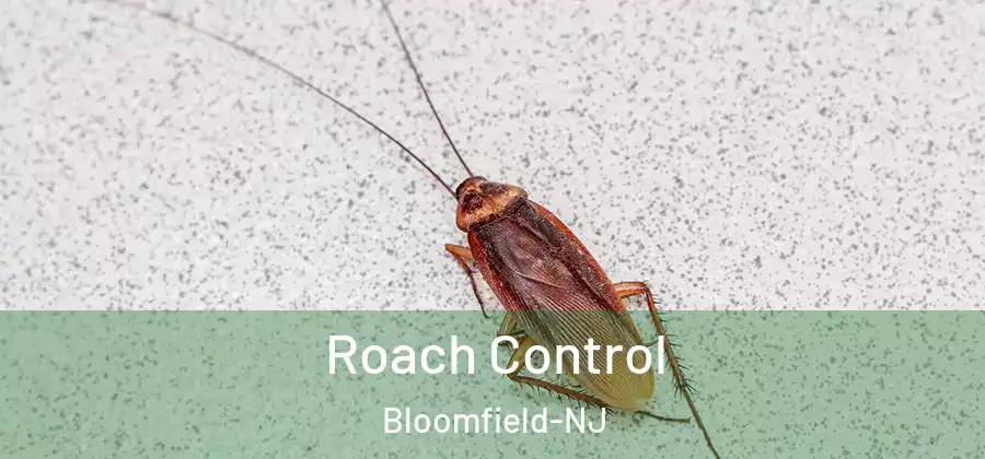  Roach Control Bloomfield-NJ