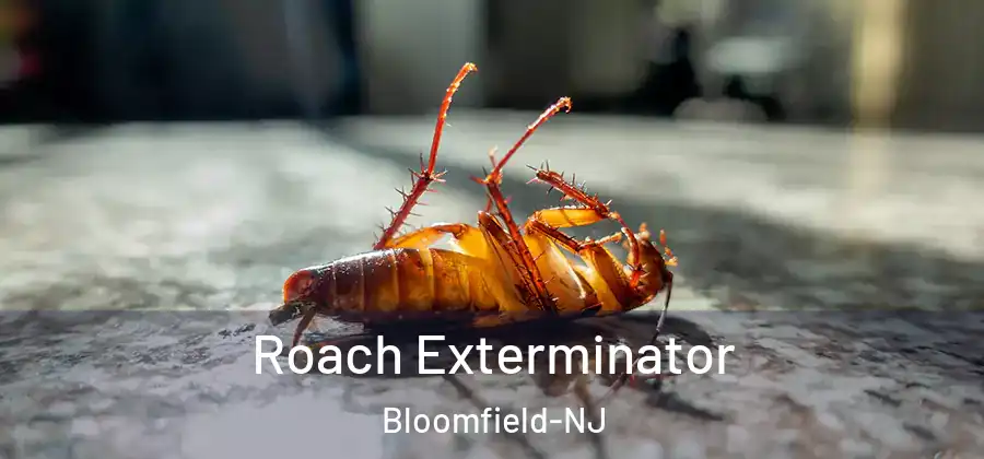  Roach Exterminator Bloomfield-NJ