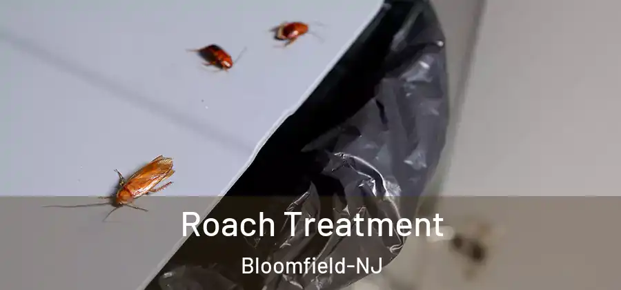  Roach Treatment Bloomfield-NJ