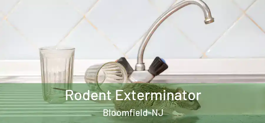  Rodent Exterminator Bloomfield-NJ