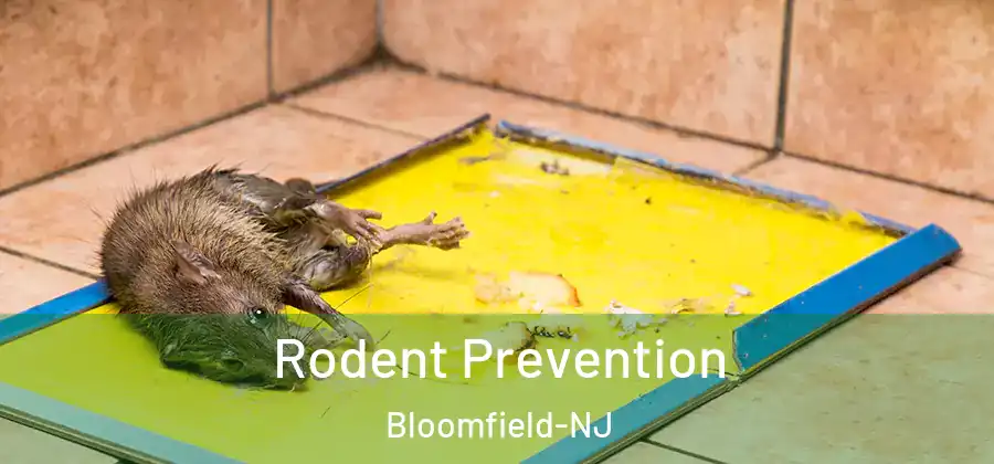  Rodent Prevention Bloomfield-NJ