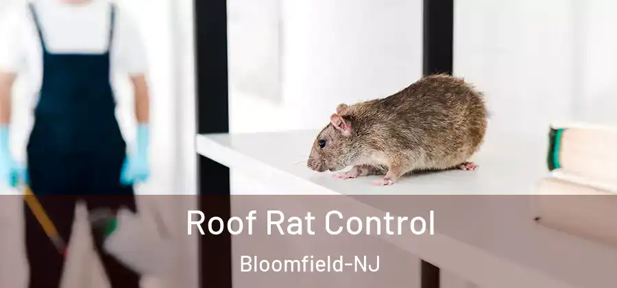  Roof Rat Control Bloomfield-NJ