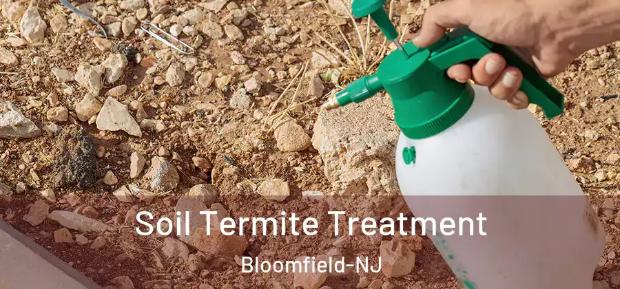  Soil Termite Treatment Bloomfield-NJ