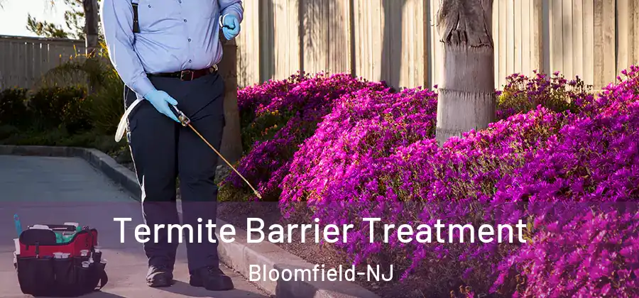  Termite Barrier Treatment Bloomfield-NJ
