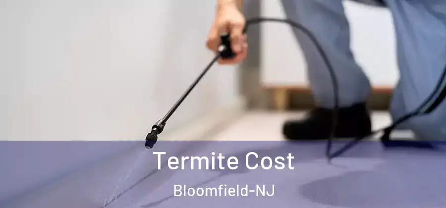  Termite Cost Bloomfield-NJ