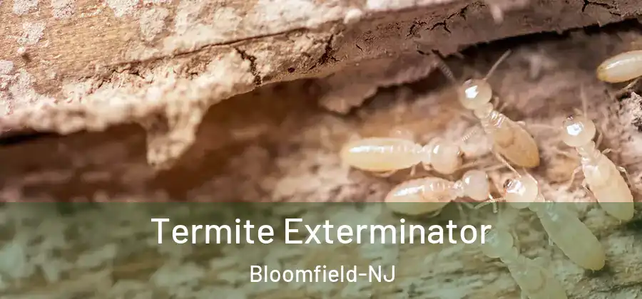  Termite Exterminator Bloomfield-NJ