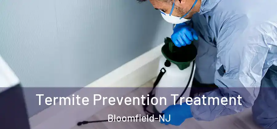  Termite Prevention Treatment Bloomfield-NJ