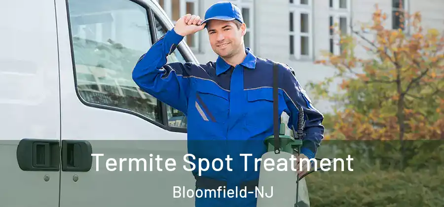  Termite Spot Treatment Bloomfield-NJ