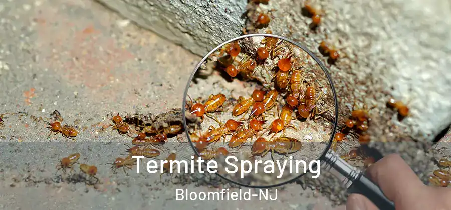  Termite Spraying Bloomfield-NJ