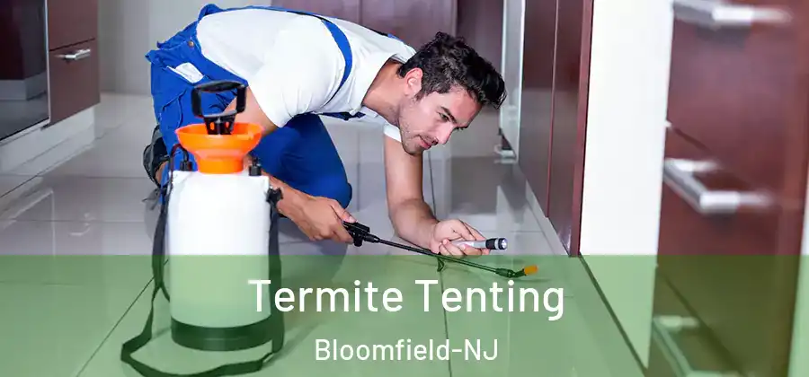  Termite Tenting Bloomfield-NJ