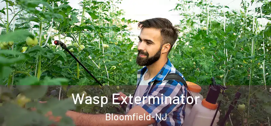  Wasp Exterminator Bloomfield-NJ