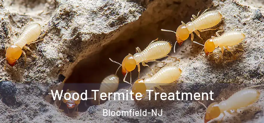  Wood Termite Treatment Bloomfield-NJ