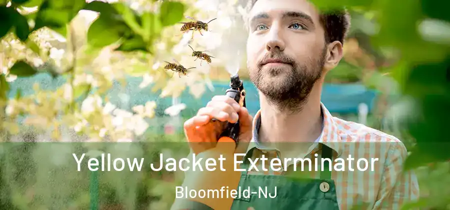  Yellow Jacket Exterminator Bloomfield-NJ